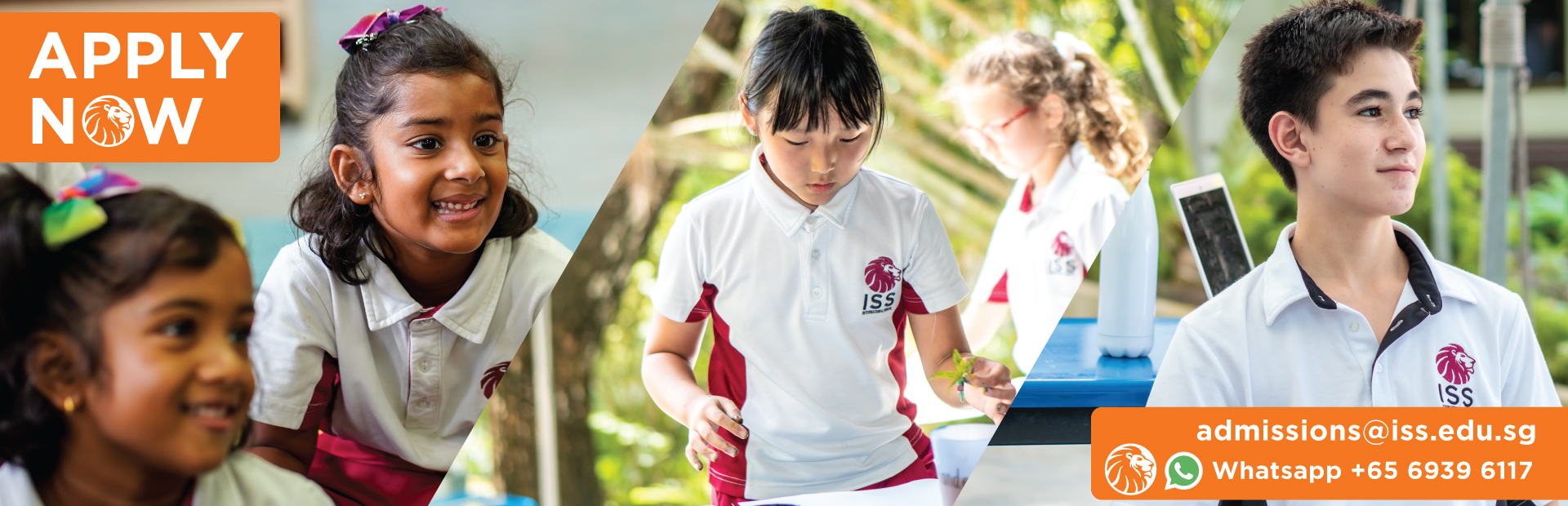 International IB school | ISS International School